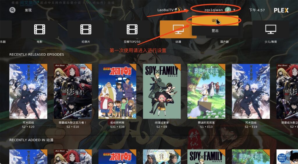 PLEX初始化步骤1